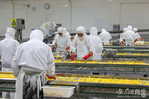 加快建設(shè) 七個強(qiáng)省 ⑧ 做好 糧頭食尾 畜頭肉尾 農(nóng)頭工尾 增值大文章